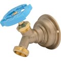 Cash Acme Hose Bibb, 34 in Connection, MHT, 200 psi Pressure, MultiTurn Actuator, Brass Body 24633LF